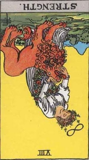 Strength Tarot Card: Meaning & Interpretation 362d8d1c fae3 42ce 8346 53fe89f959c8 1
