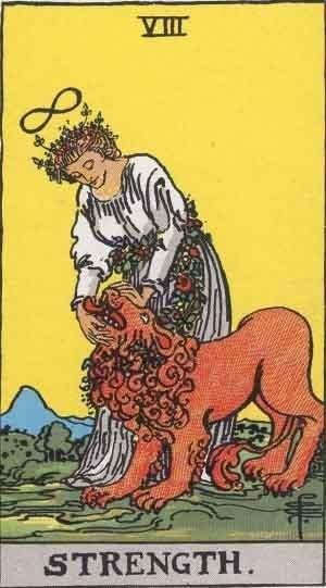 Strength Tarot Card: Meaning & Interpretation Symbolism in the Strength tarot card, including the lion and the woman.