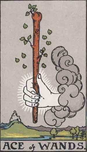 card1